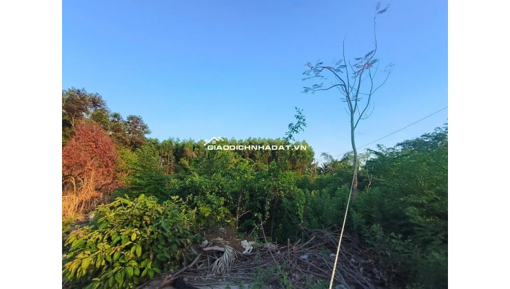 Chính chủ gửi bán đất ngay Mỹ Thuận-Long Mỹ-Bà Rịa (Phước Hải Long Đất mới,gần trường cấp 3 Dương Bạch Mai- Bà Rịa) -0909808615