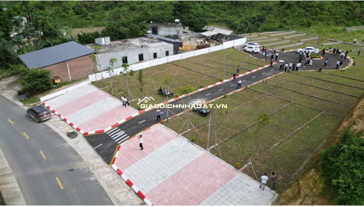  SỐC /-rose MUA 1 LÔ – TẶNG 1 LÔ tại Kim Bôi – Hòa Bình!