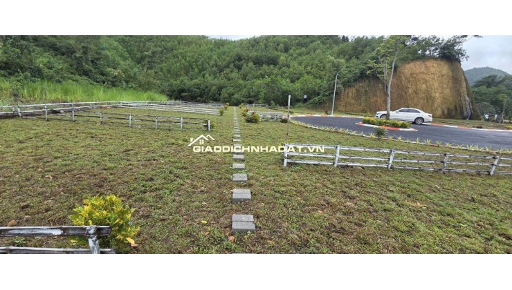  SỐC /-rose MUA 1 LÔ – TẶNG 1 LÔ tại Kim Bôi – Hòa Bình!