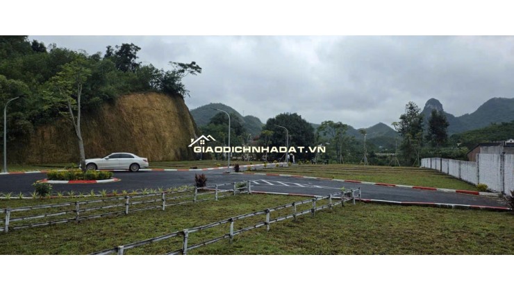  SỐC /-rose MUA 1 LÔ – TẶNG 1 LÔ tại Kim Bôi – Hòa Bình!