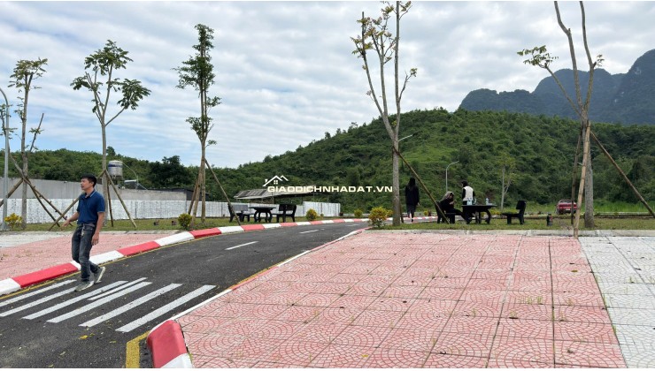  SỐC /-rose MUA 1 LÔ – TẶNG 1 LÔ tại Kim Bôi – Hòa Bình!