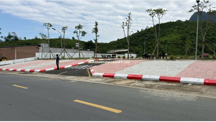  SỐC /-rose MUA 1 LÔ – TẶNG 1 LÔ tại Kim Bôi – Hòa Bình!