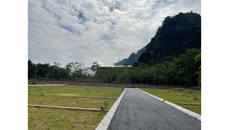  ĐẦU TƯ ĐẤT NỀN HAMI CAO DƯƠNG – PHÚ THỌ – GIÁ CHỈ TỪ 3XX TRIỆU/LÔ!