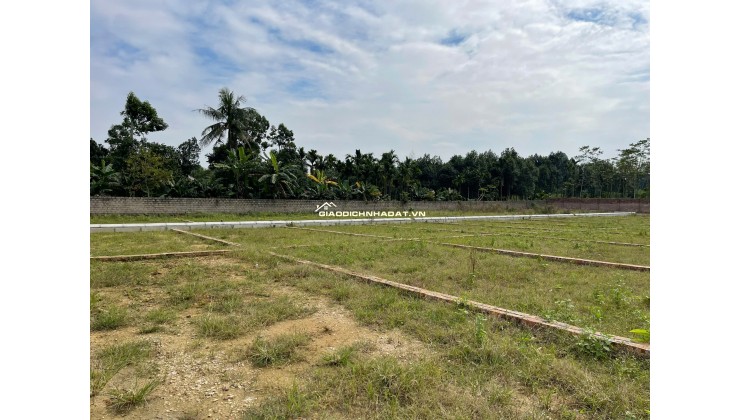  ĐẦU TƯ ĐẤT NỀN HAMI CAO DƯƠNG – PHÚ THỌ – GIÁ CHỈ TỪ 3XX TRIỆU/LÔ!