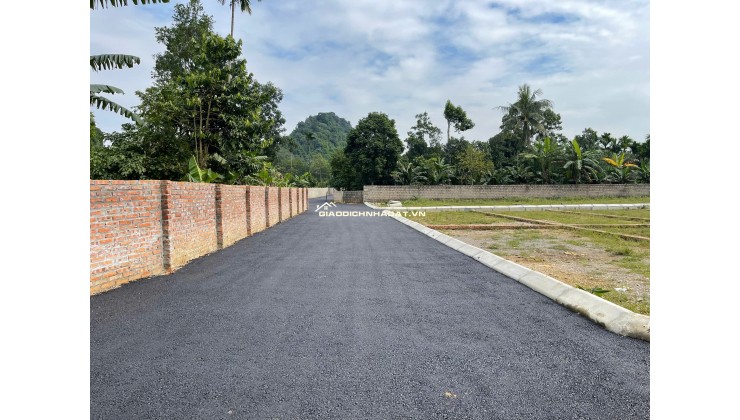  ĐẦU TƯ ĐẤT NỀN HAMI CAO DƯƠNG – PHÚ THỌ – GIÁ CHỈ TỪ 3XX TRIỆU/LÔ!