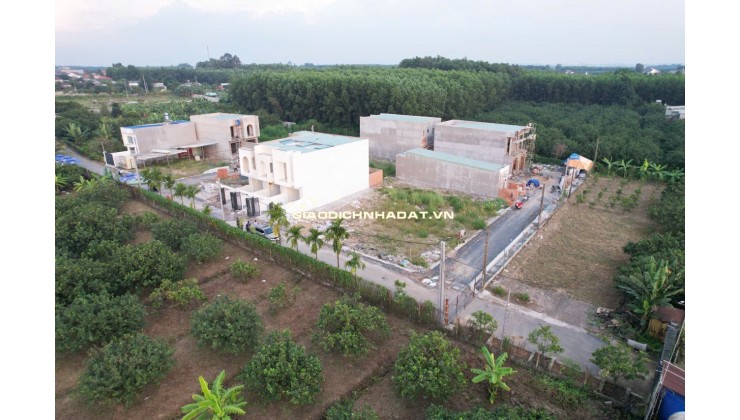 Bung nền đất shr full thổ cư cách cầu Bạch Đằng 1km