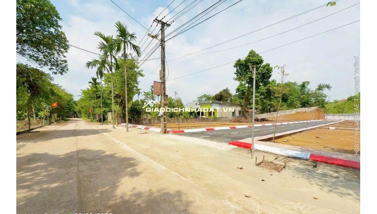 tôi chuyển đổi kinh doanh nên cần tiền bán gấp mảnh đât 300tr đất ở đô thị xung quanh đủ tiện ích