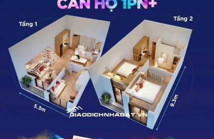 Cơ hội đầu tư căn hộ Sun Urban City Hà Nam giá chỉ từ 30 triệu/m² – Sinh lời bền vững