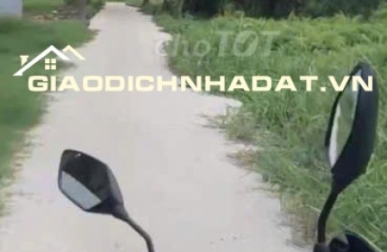 Bán lô đất trồng cây lâu năm (lên được thổ cư) Nhị Bình Hóc Môn