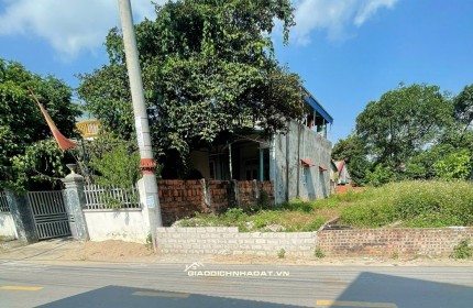 BÁN LÔ ĐẤT MẶT ĐƯỜNG TRỤC CHÍNH – 121M TRẠI LÁNG, CỔ ĐÔNG