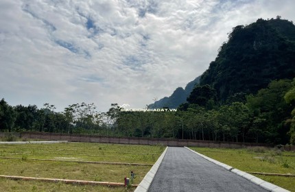  ĐẦU TƯ ĐẤT NỀN HAMI CAO DƯƠNG – PHÚ THỌ – GIÁ CHỈ TỪ 3XX TRIỆU/LÔ!