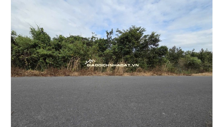 BÁN 1732 M² ĐẤT ĐƯỜNG PHẠM VĂN CỘI CỦ CHI. GIÁ 12TR/M2. LH:0906735462