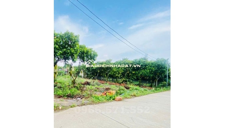 LÔ ĐẤT THỔ CƯ GIÁ RẺ NGAY ĐƯỜNG HÀM NGHI – P. BẢO VINH – ĐỒNG NAI