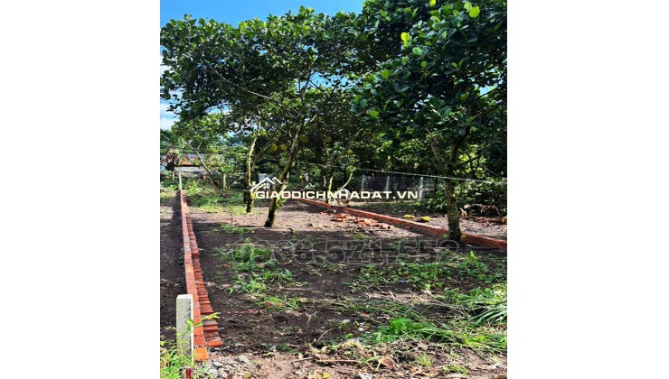 LÔ ĐẤT THỔ CƯ GIÁ RẺ NGAY ĐƯỜNG HÀM NGHI – P. BẢO VINH – ĐỒNG NAI