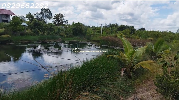 Bán 4.4ha Đất Vườn Cây Ăn Trái, Xã Hoà Long, Đồng Tháp. Pháp lý Sổ Hồng,