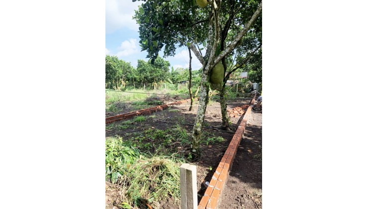 LÔ ĐẤT THỔ CƯ GIÁ RẺ NGAY ĐƯỜNG HÀM NGHI – P. BẢO VINH – ĐỒNG NAI