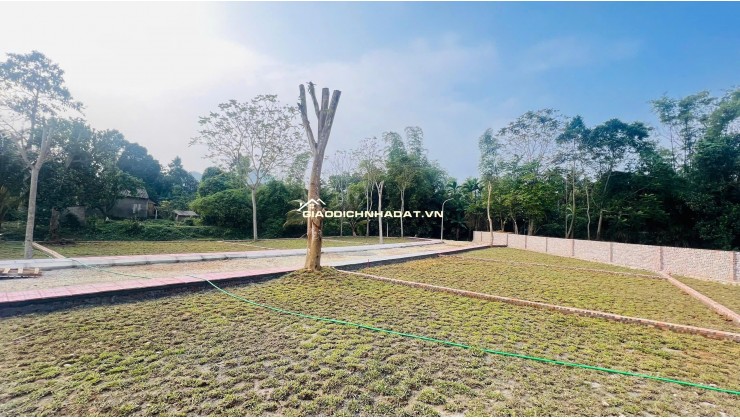  BẮT ĐÚNG NHỊP MUA – NẮM TRỌN DƯ ĐỊA TĂNG GIÁ - CƠ HỘI ĐẮNG ĐẦU TƯ