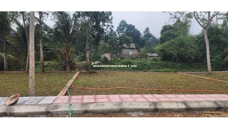  BẮT ĐÚNG NHỊP MUA – NẮM TRỌN DƯ ĐỊA TĂNG GIÁ - CƠ HỘI ĐẮNG ĐẦU TƯ