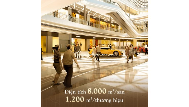 Chính thức nhận booking tòa Mira - Regal Complex Đà Nẵng