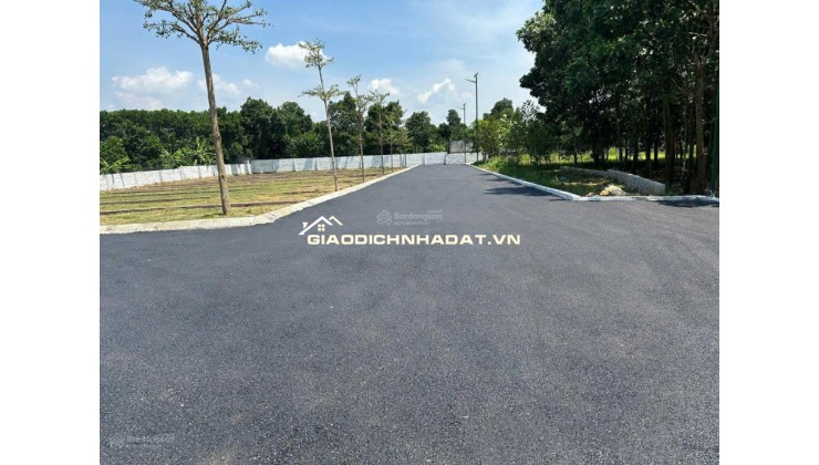 Bán nhanh lô đất Cổ Đông 95.1m², MT 4.4m, sát QL21A mở rộng, đồng trạng cổ đông