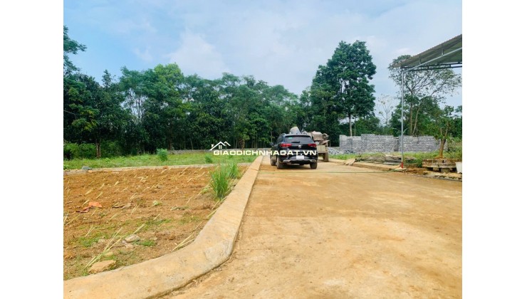 Bán nhanh mảnh đất vị tri đắc địa ngay sát khu công nghiệpThạch Quảng diện tích 412m2 595 triệu hiện đã phân thành 3 lô