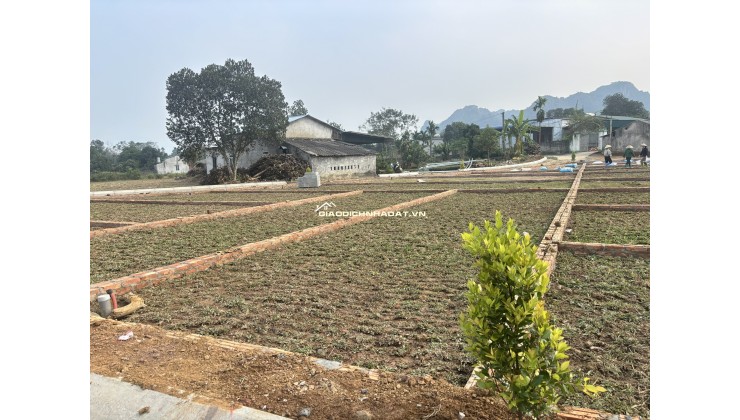 3XX TRIỆU BẠN MUỐN TIỀN ĐẺ RA TIỀN THÌ KHÔNG NÊN BỎ QUA BÀI VIẾT NÀY - SỞ HỮU SỔ HỒNG BĐS