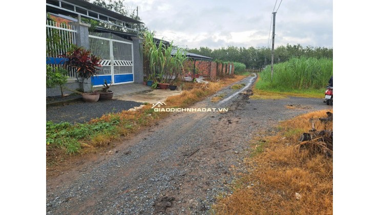 Bán 3 lô Đất nền đã có sổ hồng. Vị trí đất: Hiệp Thạnh, Gò Dầu, Tây Ninh,