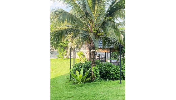 Nghỉ dưỡng chính chủ 1570m2, thổ cư 400m2, xã Hồ Tràm. Lh:0913933070