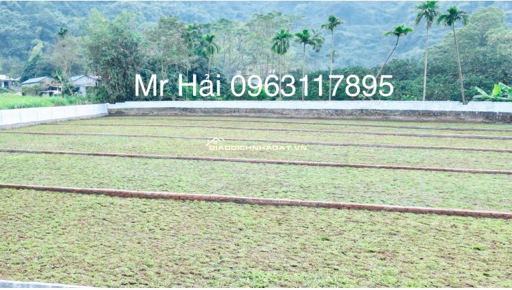 5 LÔ ĐẤT CƯ YÊN – GIÁ CHỈ HƠN 4 TRIỆU/M2 SẴN SỔ CHUYỂN NHƯỢNG