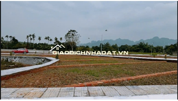 3XX TRIỆU BẠN MUỐN TIỀN ĐẺ RA TIỀN THÌ KHÔNG NÊN BỎ QUA BÀI VIẾT NÀY - SỞ HỮU SỔ HỒNG BĐS