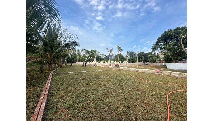  Hơn 300tr Sở Hữu Đất Kim Bôi, Hoà Bình – Vị Trí Đẹp, Pháp Lý Chuẩn