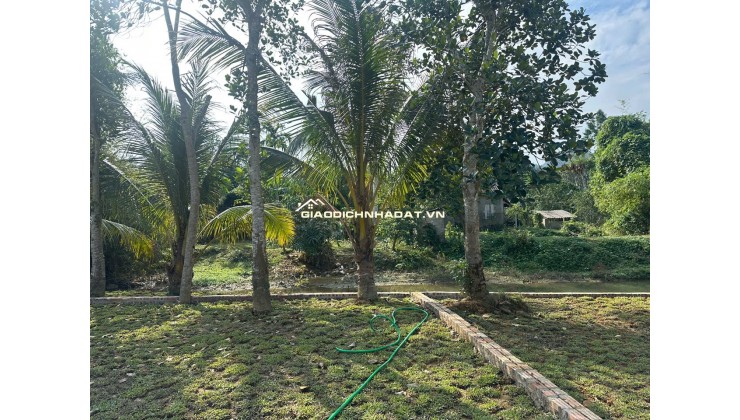  Hơn 300tr Sở Hữu Đất Kim Bôi, Hoà Bình – Vị Trí Đẹp, Pháp Lý Chuẩn