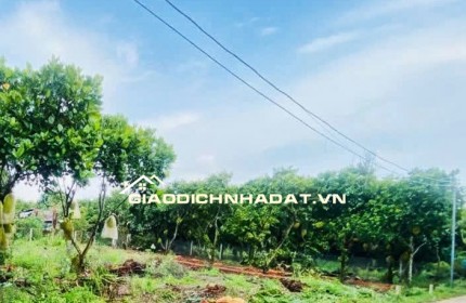 LÔ ĐẤT THỔ CƯ GIÁ RẺ NGAY ĐƯỜNG HÀM NGHI – P. BẢO VINH – ĐỒNG NAI