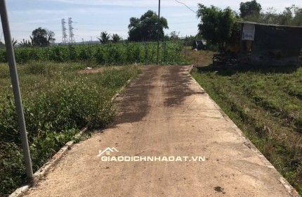  CHỈ 579 TRIỆU – 100M² THỔ CƯ TẠI GIA TÂN 2 – GẦN ĐỨC MẸ NÚI CÚI