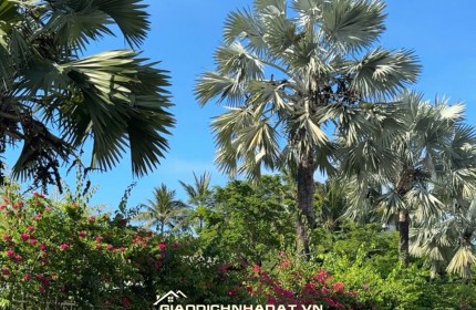  TUYỆT PHẨM NHÀ PHỐ BIỂN ĐÀ NẴNG - MẶT TIỀN TÂN LƯU - NGANG 6M BỀ THẾ - FULL NỘI THẤT GỖ CAO CẤP