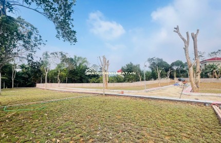  Hơn 300tr Sở Hữu Đất Kim Bôi, Hoà Bình – Vị Trí Đẹp, Pháp Lý Chuẩn