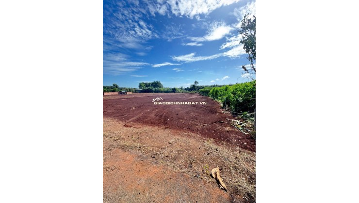 CẦN BÁN LÔ ĐẤT LONG PHƯỚC BRVT – nay thuộc P. TAM LONG, TP.HCM