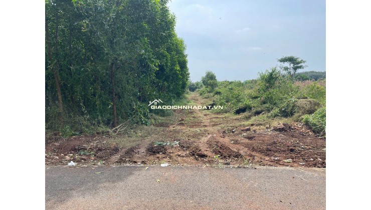 BÁN 7691.5 M² ĐẤT XÃ LONG TÂN, ĐẤT ĐỎ GIÁ 3 TỶ / SÀO. LH:0938677702.