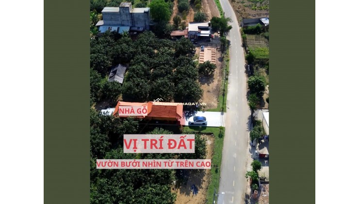 ĐẤT VƯỜN BƯỞI BÌNH DƯƠNG 263M² – CÓ THỔ CƯ, GIÁ 950TR