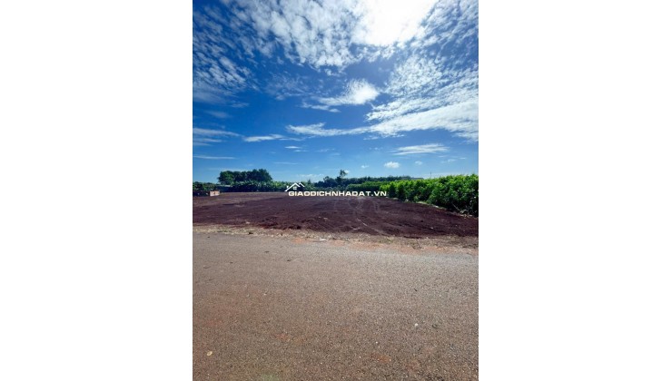 CẦN BÁN LÔ ĐẤT LONG PHƯỚC BRVT – nay thuộc P. TAM LONG, TP.HCM