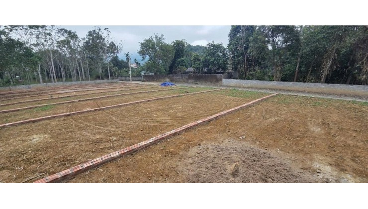  ĐẤT ĐÔ THỊ TRUNG TÂM TP. HÒA BÌNH – CHỈ HƠN 3 TRIỆU/M² 