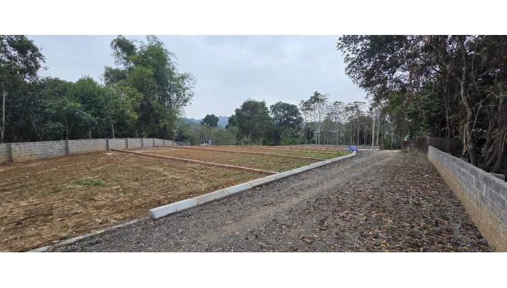  ĐẤT ĐÔ THỊ TRUNG TÂM TP. HÒA BÌNH – CHỈ HƠN 3 TRIỆU/M² 