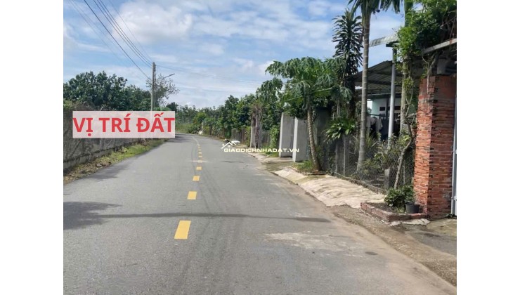 Bán đất mặt tiền đường nhựa có sẵn vườn bưởi tại Trừ Văn Thố Bàu Bàng Bình Dương