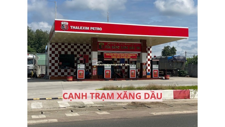 Bán đất mặt tiền đường nhựa có sẵn vườn bưởi tại Trừ Văn Thố Bàu Bàng Bình Dương