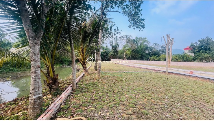 Bán đất tại trung tâm phố chợ Bãi Xe Kim Bôi diện tích rộng 400m2