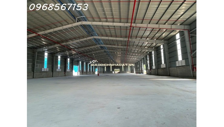 Cho thuê cụm kho xưởng 11.000m² mới xây – Bàu Bàng / Bến Cát – điện 1.000KVA