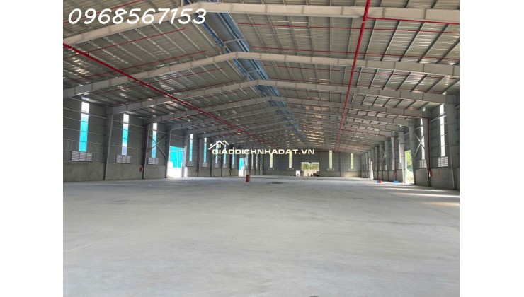 Cho thuê cụm kho xưởng 11.000m² mới xây – Bàu Bàng / Bến Cát – điện 1.000KVA