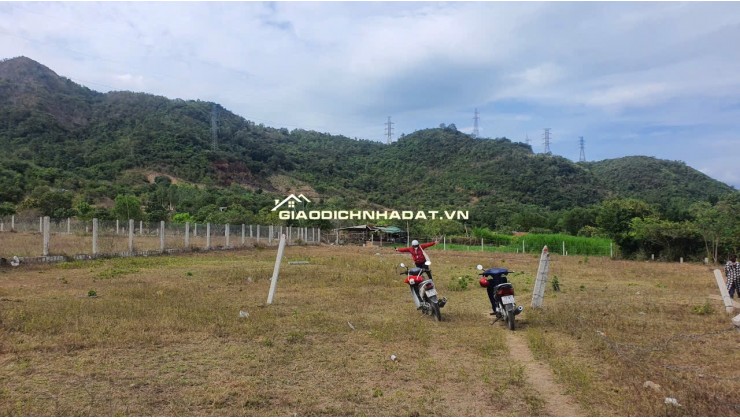 BÁN ĐẤT VƯỜN BẮC NHA TRANG, 1500M2, GIÁ DƯỚI 3TỶ, CẦN BÁN GẤP