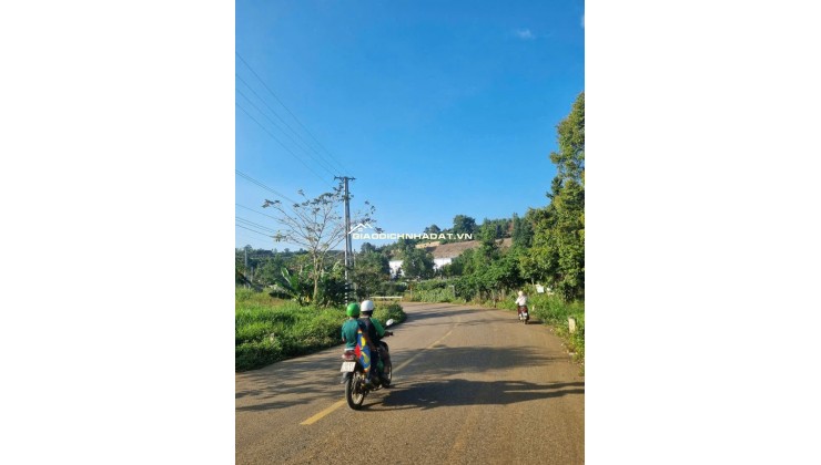 Bán 166,6m2 đất Tân Lạc Lâm Đồng, sẵn SHR, chỉ 450tr buông sổ. Lh:0983762203