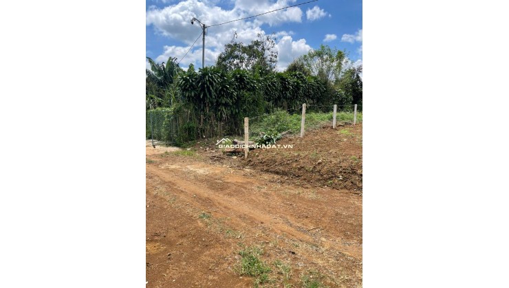 Bán 166,6m2 đất Tân Lạc Lâm Đồng, sẵn SHR, chỉ 450tr buông sổ. Lh:0983762203